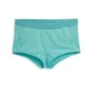 Tucking Boy Shorts - Aruba Blue(Tucking Boy Shorts Aruba Blue)