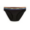 Bikini - Black Rainbow Logo(Bikini Black Rainbow Logo)