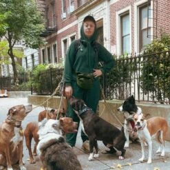 Inside Out French Terry Jogger - Phantom Pine(Inside Out French Terry Jogger Phantom Pine) -tomboyx Sales Phantom Pine Inside Out French Terry JoggerUGC1