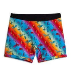 6" No Fly Boxer Briefs - Pride Rainbow Dragon(6 No Fly Boxer Briefs Pride Rainbow Dragon) -tomboyx Sales Pride Rainbow Dragon 6in No Fly Boxer Briefs 1