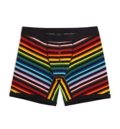 6" Fly Boxer Briefs - Progress Pride Stripes(6fly Progress)