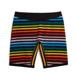 9" Boxer Briefs - Progress Pride Stripes(9boxer Progress)