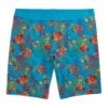 9" Boxer Briefs - Rainbow Fish(9 Boxer Briefs Rainbow Fish)