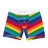 6" Fly Boxer Briefs - Rainbow Pride Stripes(6 Fly Rainbow Pride Stripes)